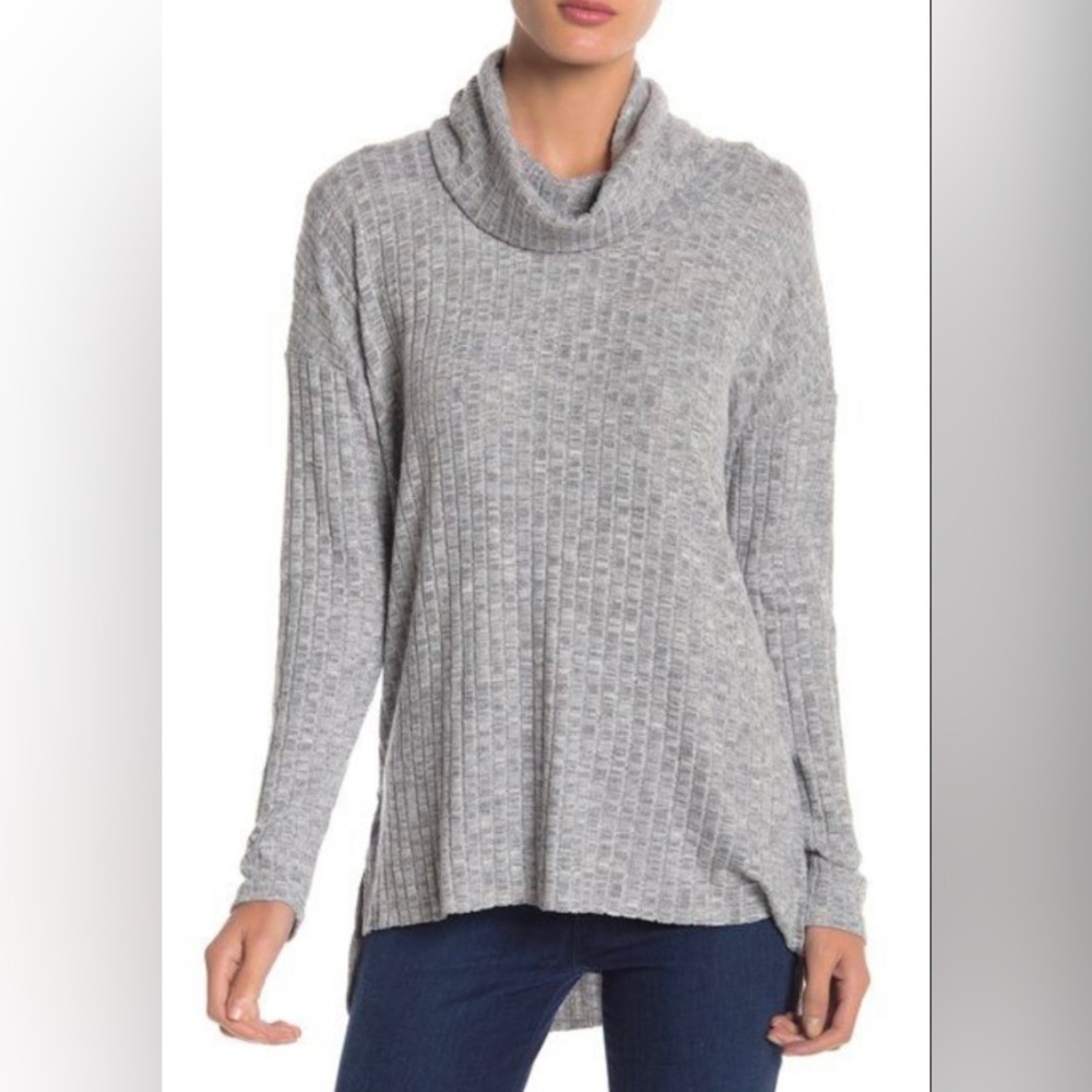 Abound Turtleneck Tunic Sweater